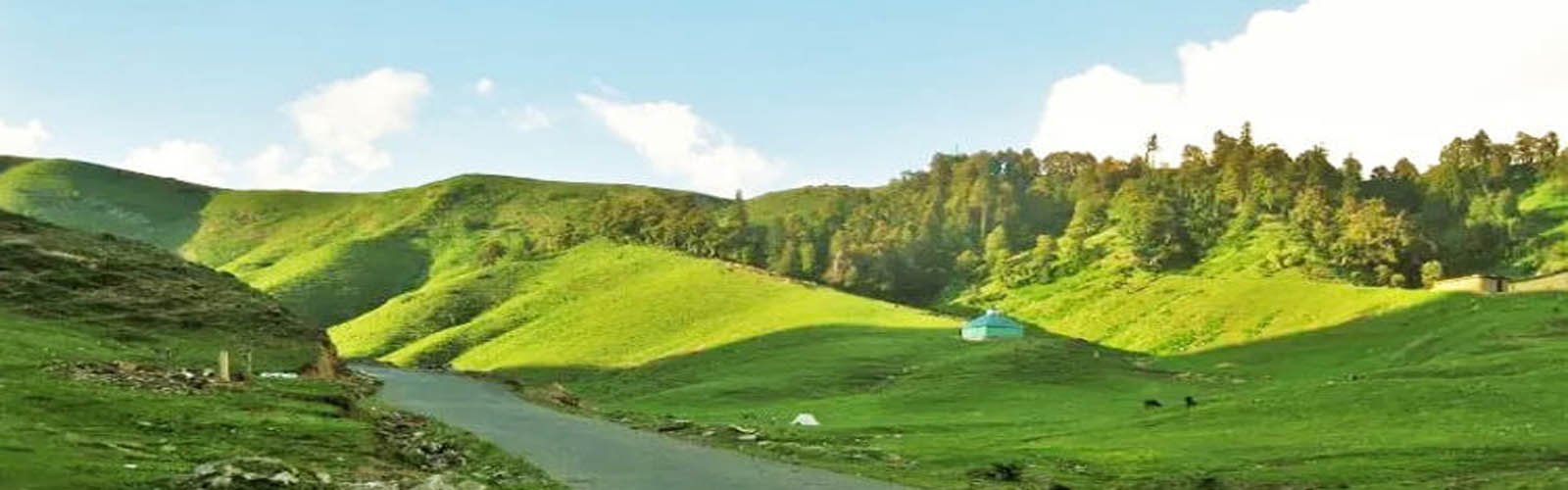 Tours in Srinagar