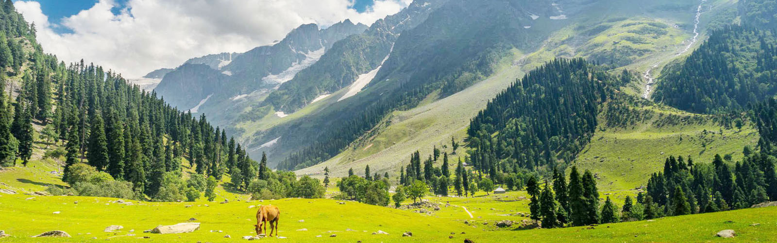 best Travel agent in Srinagar