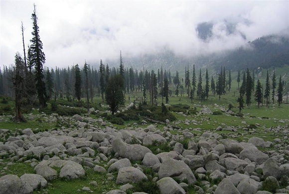 Tour in Srinagar